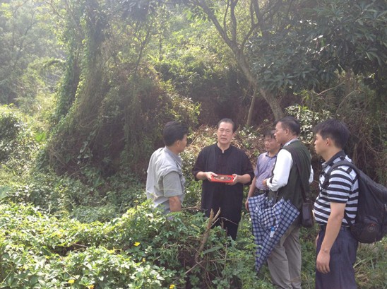 杰出墓地风水大师